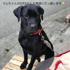 Toi Hakone